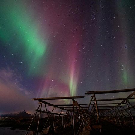 Fish Factory -The Real Lofoten Experience Ballstad Exterior photo