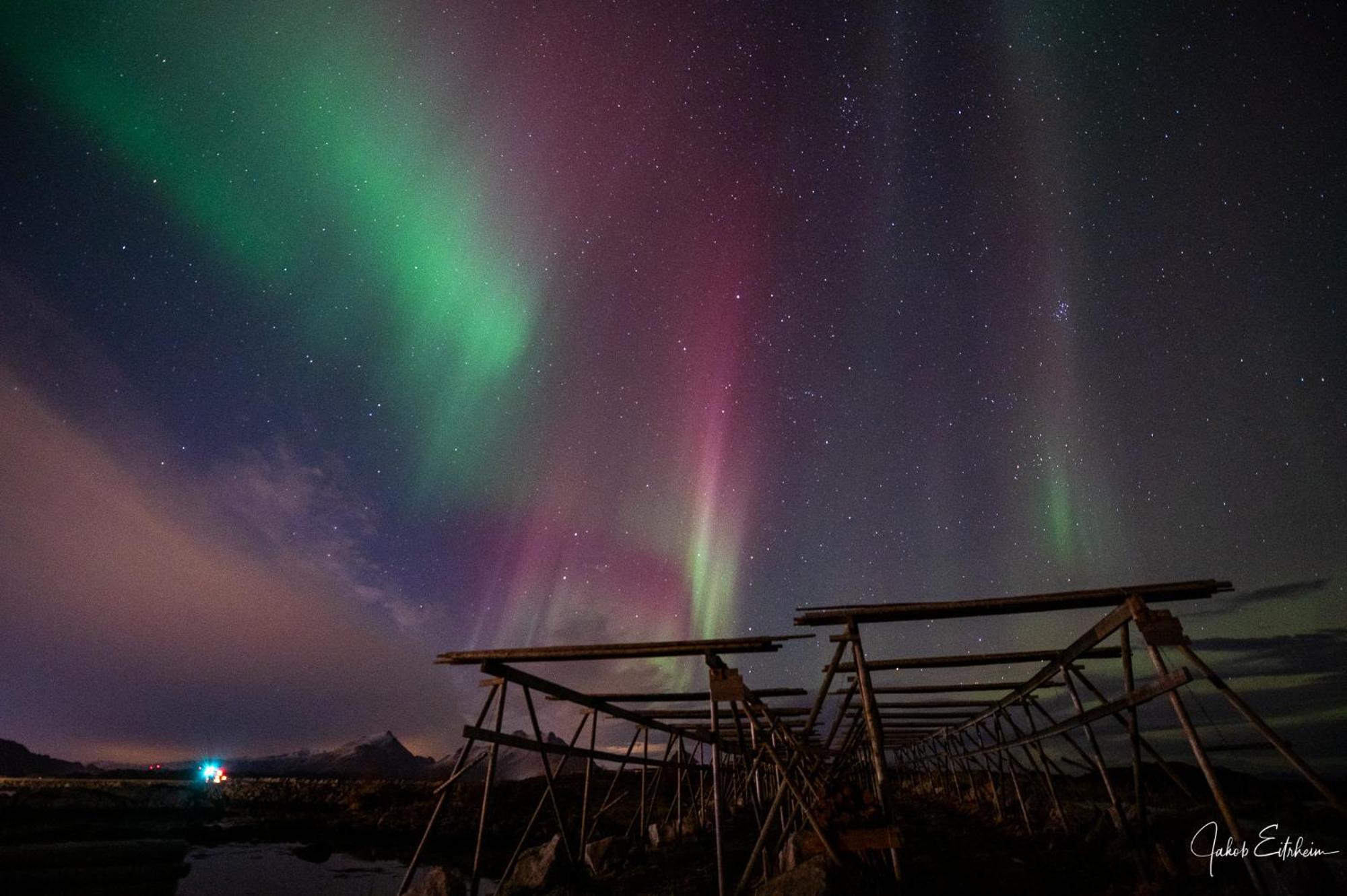 Fish Factory -The Real Lofoten Experience Ballstad Exterior photo